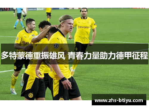 多特蒙德重振雄风 青春力量助力德甲征程